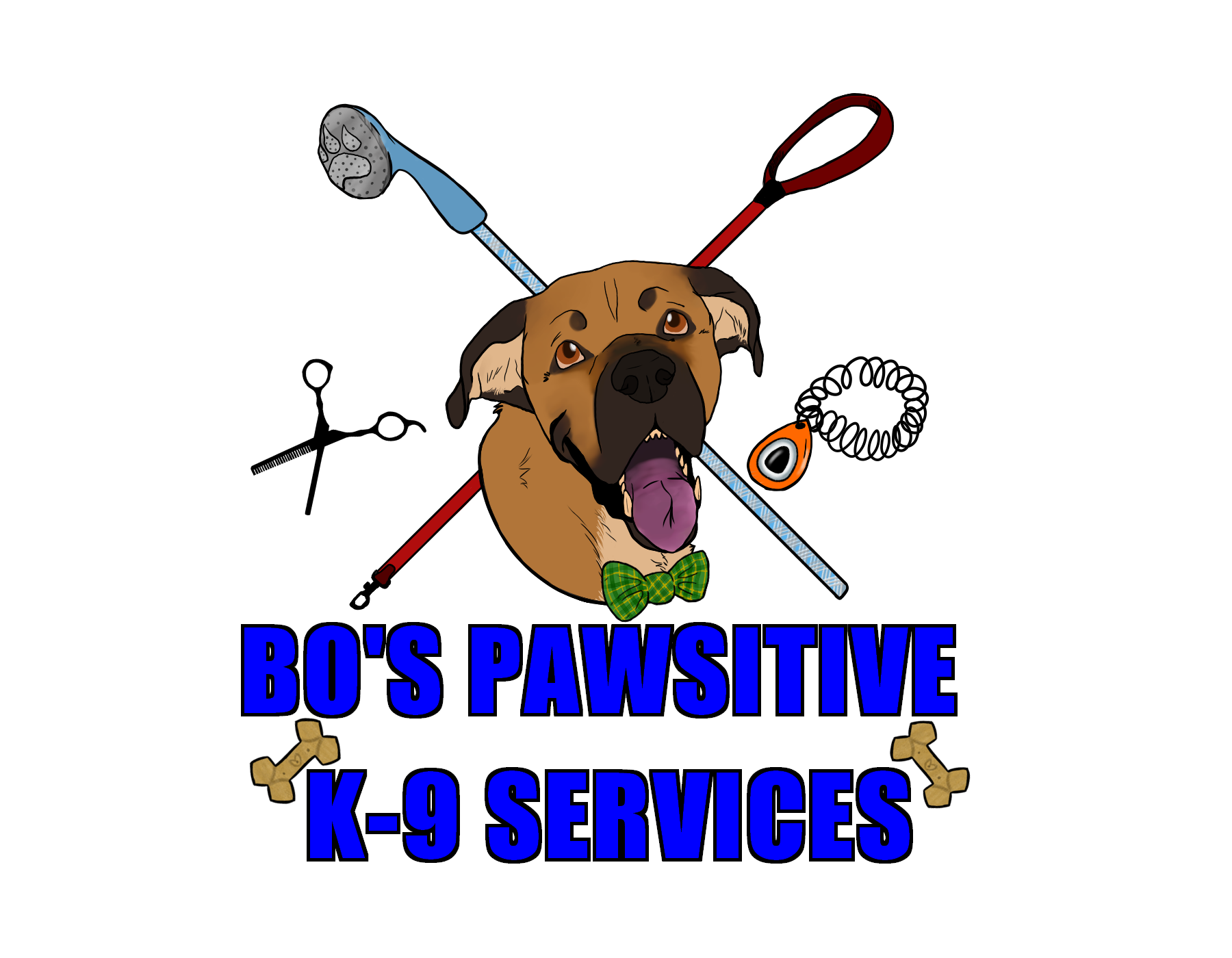 Bo’s PAWsitive Training & Grooming